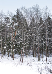 Similar image 22186868