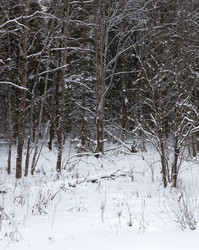 Similar image 22186872