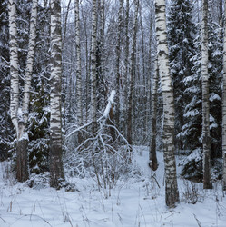 Similar image 22186941