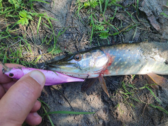 Similar image 22187024