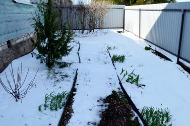 Similar image 22181610