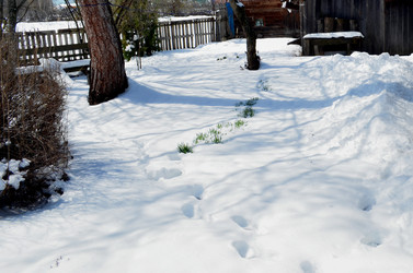 Similar image 22181612