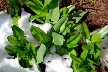 Similar image 22181615