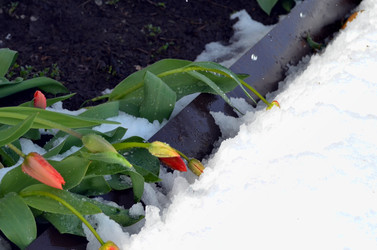 Similar image 22181626