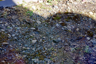 Similar image 22181631