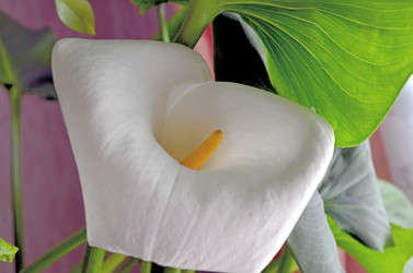 Similar image 22181633