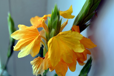 Similar image 22181634