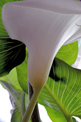 Similar image 22181635