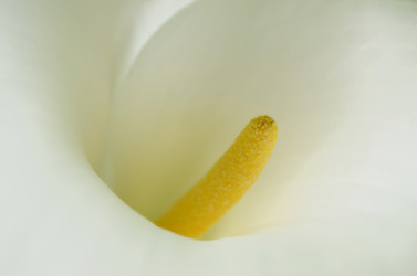 Similar image 22181637