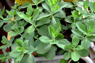 Similar image 22181640