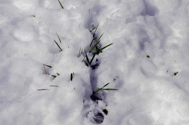 Similar image 22181641