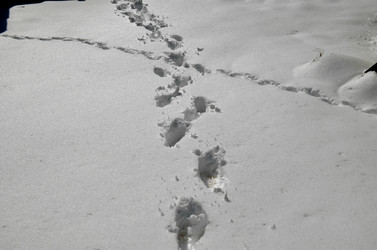 Similar image 22181644