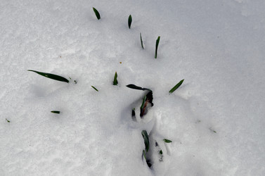 Similar image 22181645