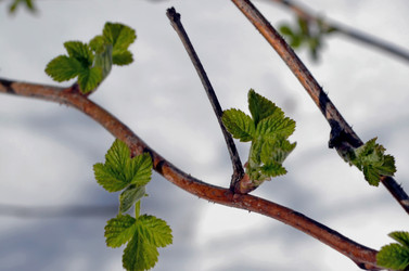 Similar image 22181646