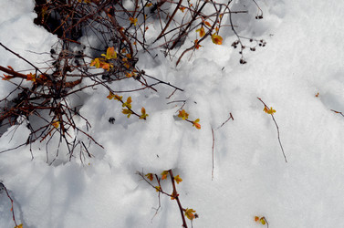 Similar image 22181648