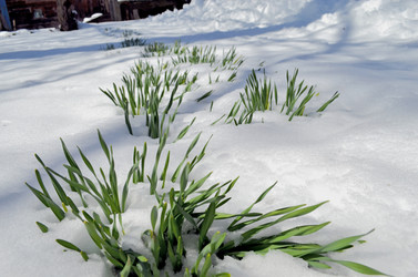 Similar image 22181649