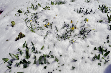 Similar image 22181650