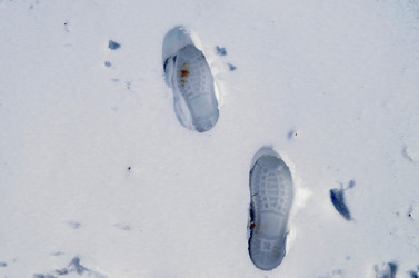 Similar image 22181652