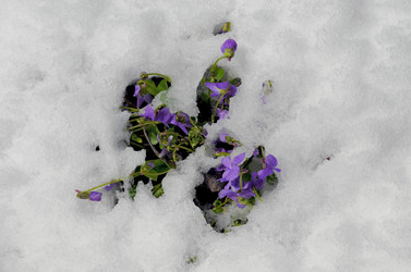 Similar image 22181653