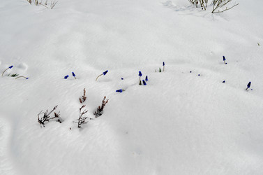 Similar image 22181656