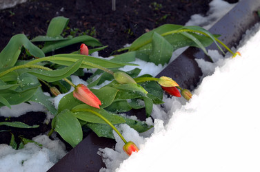 Similar image 22181658