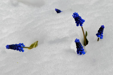 Similar image 22181659