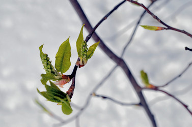 Similar image 22181660