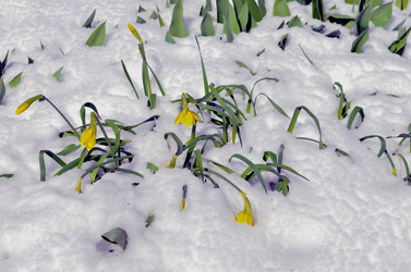 Similar image 22181661