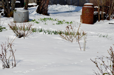 Similar image 22181663