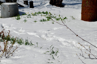 Similar image 22181665