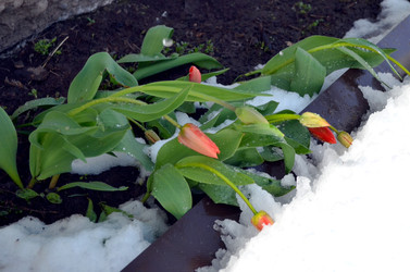 Similar image 22181666