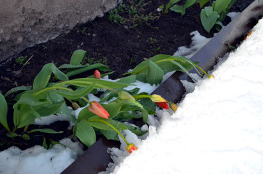 Similar image 22181668