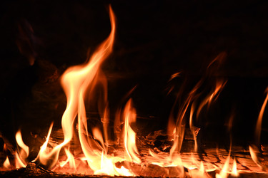 Similar image 22186204