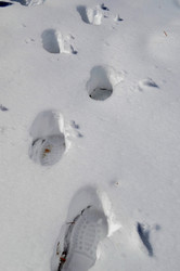 Similar image 22186580