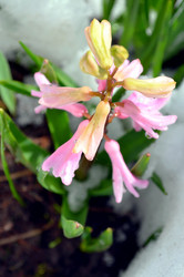 Similar image 22186581