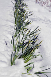 Similar image 22186582