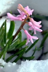 Similar image 22186583