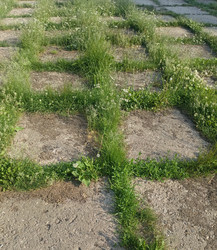 Similar image 22181669