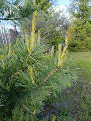 Similar image 22181673