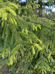 Similar image 22181675