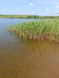 Similar image 22181676