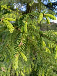 Similar image 22181678