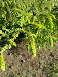 Similar image 22181679