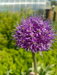 Similar image 22181682