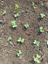 Similar image 22181683