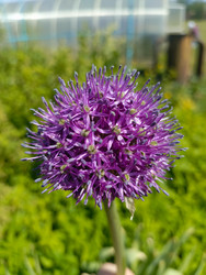 Similar image 22181684