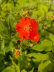 Similar image 22181687