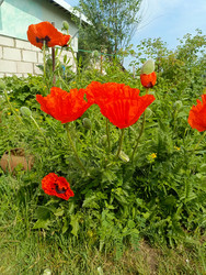 Similar image 22181689