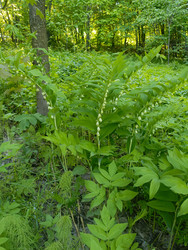 Similar image 22181693