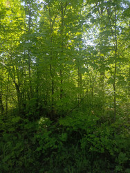 Similar image 22181696